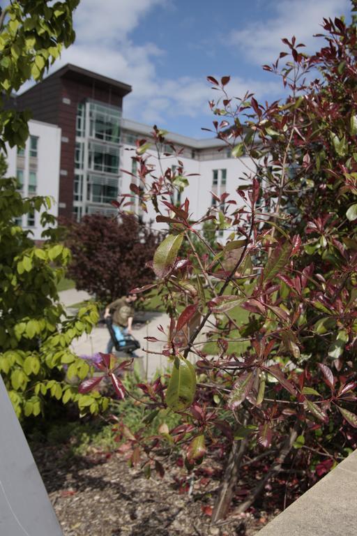 Summer Stays At The University Of Edimburgo Esterno foto